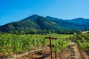 Oregon Pinot Noir